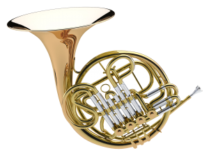 Beispielbild Horn