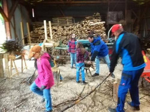 Kraehle machen am 15.05.2015 - 04