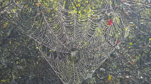 Ausflug Mosel 05.-07.10.2018 - 20