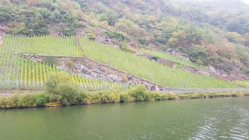 Ausflug Mosel 05.-07.10.2018 - 39