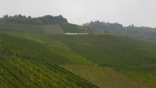 Ausflug Mosel 05.-07.10.2018 - 40