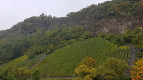 Ausflug Mosel 05.-07.10.2018 - 42