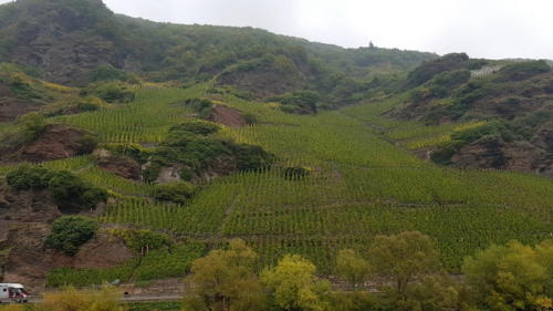 Ausflug Mosel 05.-07.10.2018 - 43