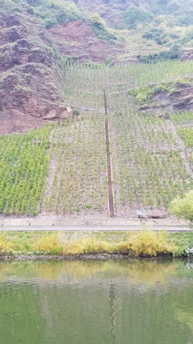 Ausflug Mosel 05.-07.10.2018 - 44