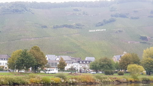 Ausflug Mosel 05.-07.10.2018 - 46