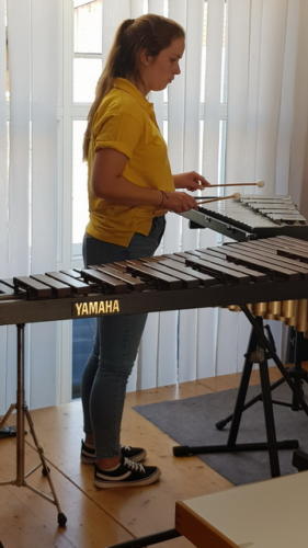 Instrumentenvorstellung am 07.06.2018 - 16